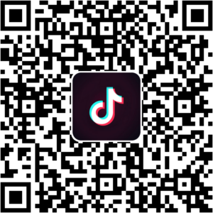 抖音小程序